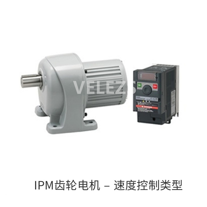 IPM齿轮电机 – 速度控制类型